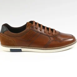 Baskets, Sneakers|FORTUNATO Baskets Homme Marron
