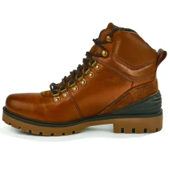 Boots, Bottines|OUTSHOES Bottines Homme Marron