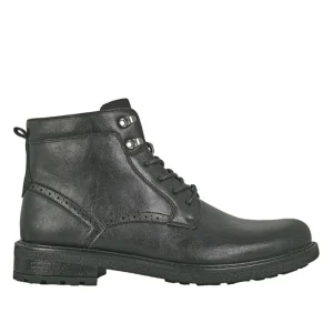 Boots, Bottines|FORTUNATO Bottines Montantes Homme Noir A Lacets