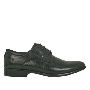 Derbies, Chaussures De Ville|FORTUNATO Derbies Noir