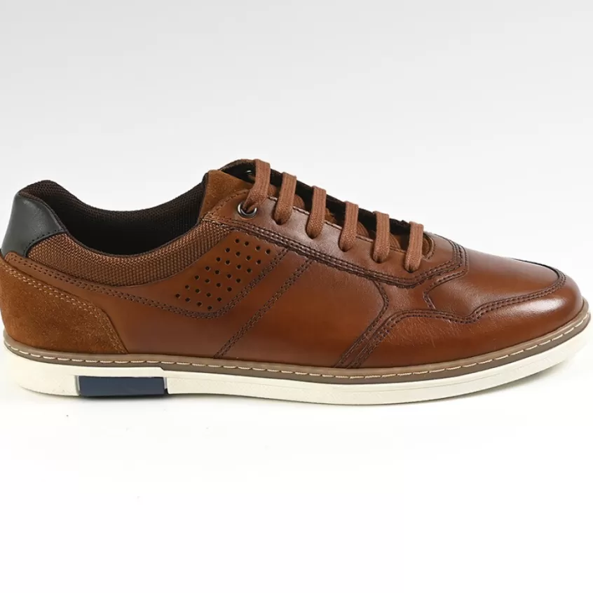 Baskets, Sneakers | FORTUNATO Baskets Homme Marron