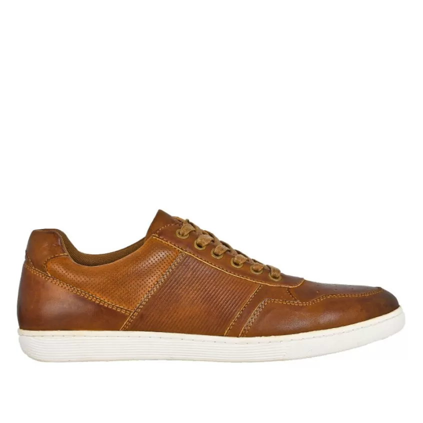 Baskets, Sneakers | TIPO ALTO Derbies Marron